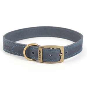 Ancol Timberwolf Blue Leather Dog Collar Size 4