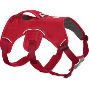 Ruffwear Webmaster Dog Harness in Red Currant Medium