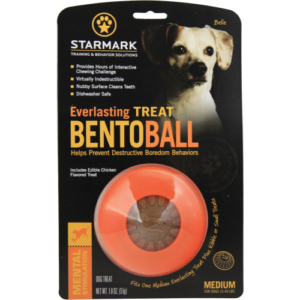 Starmark Everlasting Treat Bento Ball Dog Toy Medium