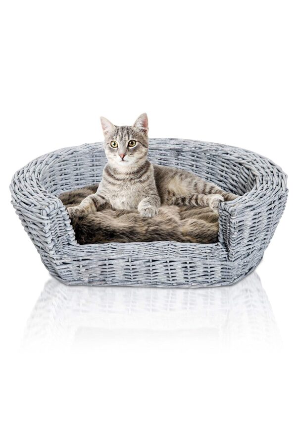 Elevated Cushioned Willow Rattan Pet Basket Bed - Grey - Cotton/Wood/Polyester
